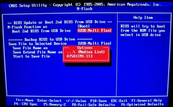 msi p55-gd80 bios m-flash bios list